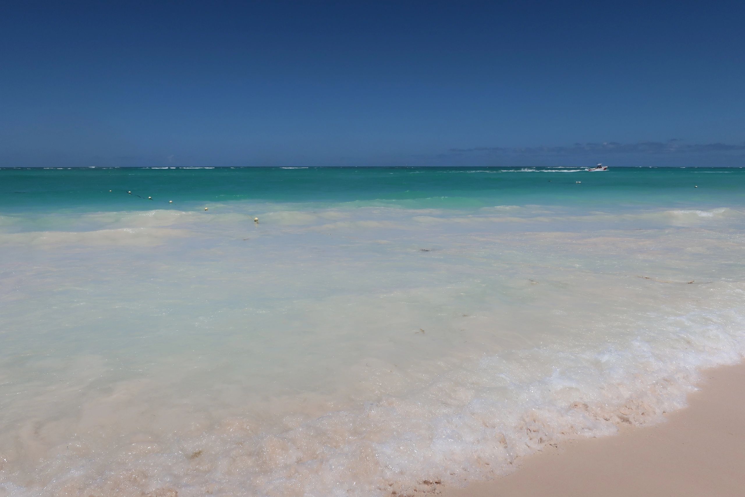 Wicked Awesome Vacations travel photo 3